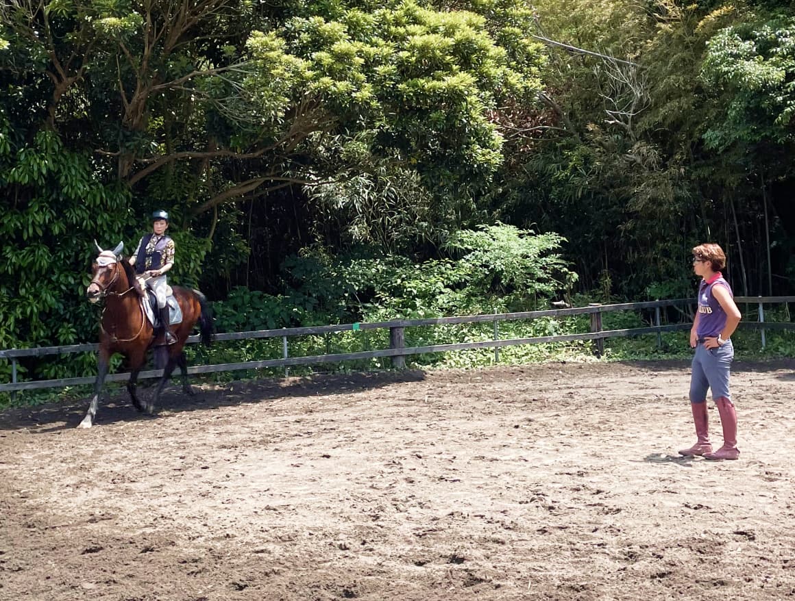 乗馬している様子