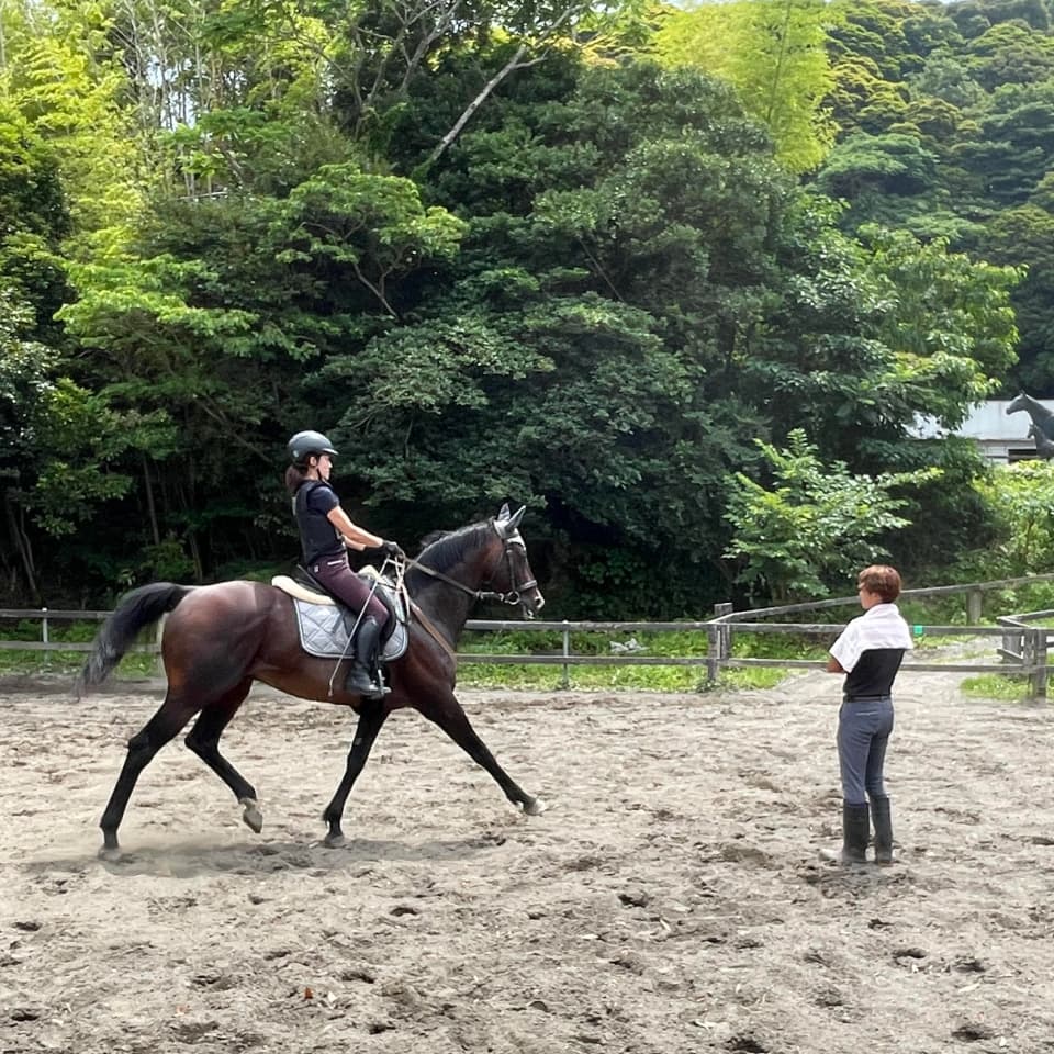 乗馬している様子