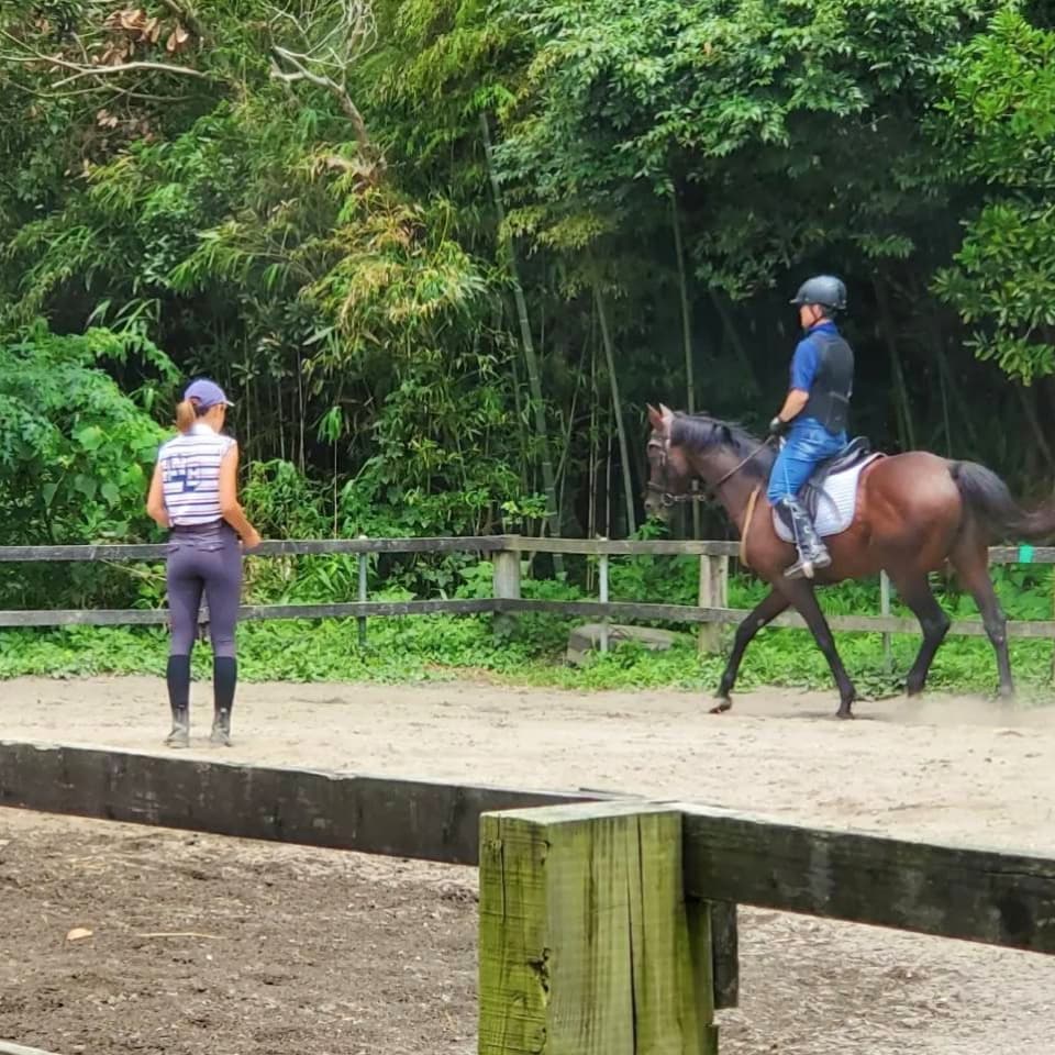 乗馬している様子